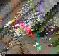 Neville Show - Accommodation Noosa