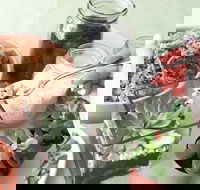 Online live streaming class Make Your Own Terrarium - Accommodation Noosa