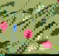 Oseanica Culinary Art - Accommodation Noosa