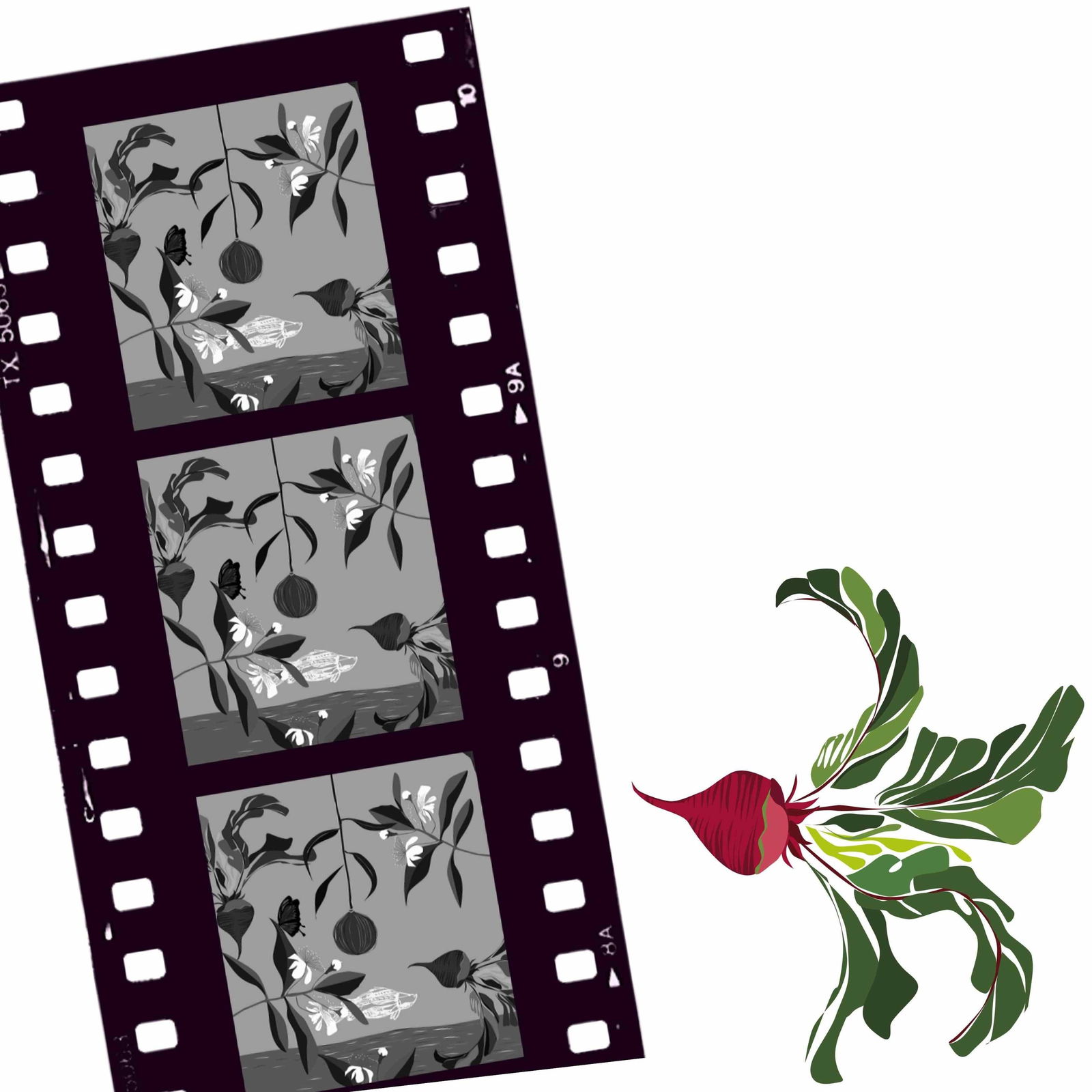 Cairns North QLD Accommodation Noosa