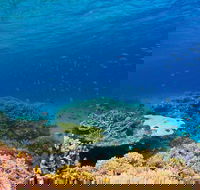 Recovery of the Great Barrier Reef - Accommodation Noosa