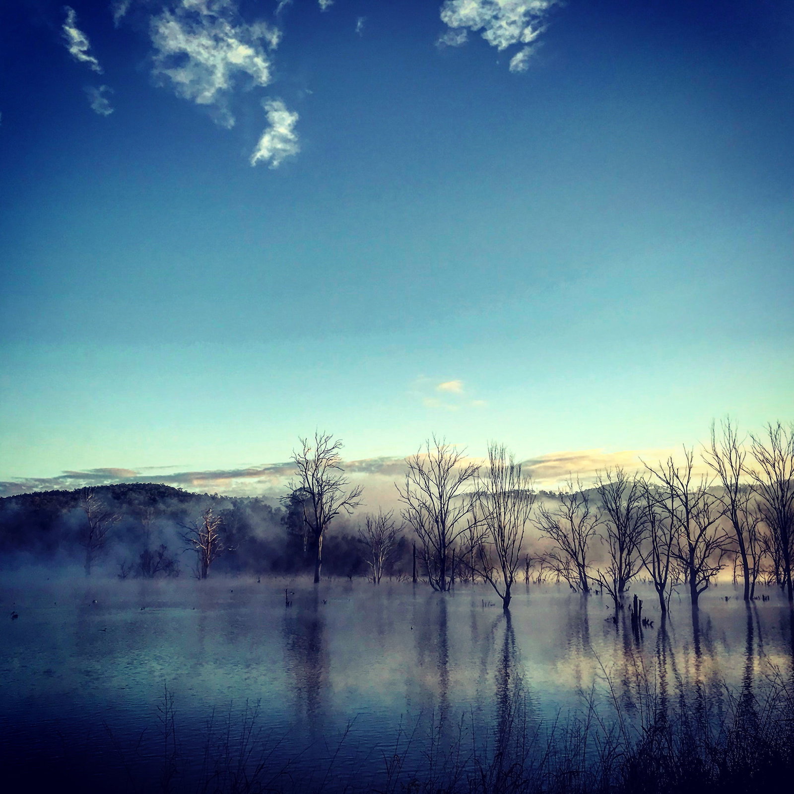 Maroon QLD Accommodation Noosa