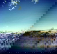 Scenic Rim Ultra - Accommodation Noosa