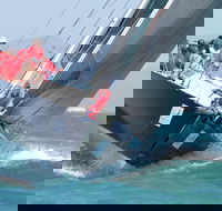 SeaLink Magnetic Island Race Week - Accommodation Noosa