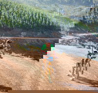 SEVEN - Australia's Premier Gravel Race - Accommodation Noosa