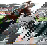 Stadium Stomp Adelaide Oval - Postponed - Accommodation Noosa