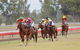 Thangool Races - thumb 0
