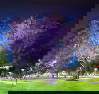 Adelaide Parklands Art Prize  Finalists Exhibition  Sale 2020 - Accommodation Noosa