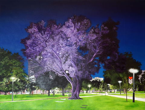 Adelaide Parklands Art Prize  Finalists Exhibition & Sale 2020 - Accommodation Noosa 0