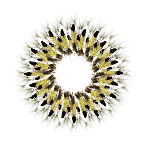 Adelaide Parklands Art Prize  Finalists Exhibition & Sale 2020 - Accommodation Noosa 1