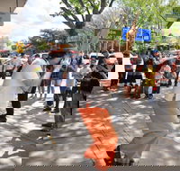 Australian National Busking Championships - Accommodation Noosa