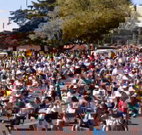 Bathurst Edgell Jog - Accommodation Noosa