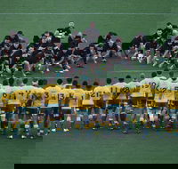Bledisloe Cup Double-Header Qantas Wallabies v All Blacks  Buildcorp Wallaroos v Black Ferns - Accommodation Noosa