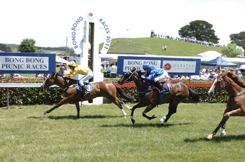 Bong Bong Picnic Races - Accommodation Noosa 0