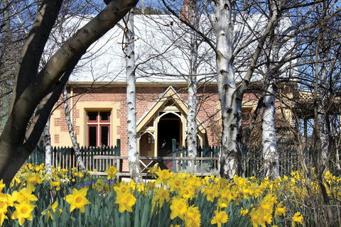 Daffodils At Rydal - Accommodation Noosa 0