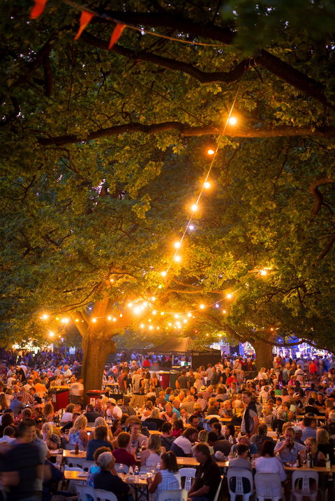 Festivale - Accommodation Noosa 0
