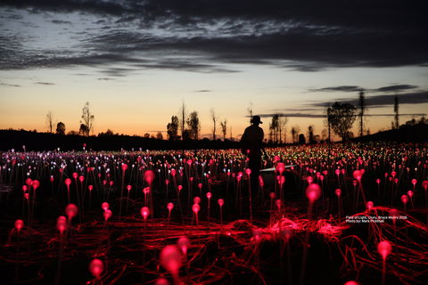 Field Of Light Uluru - Accommodation Noosa 0