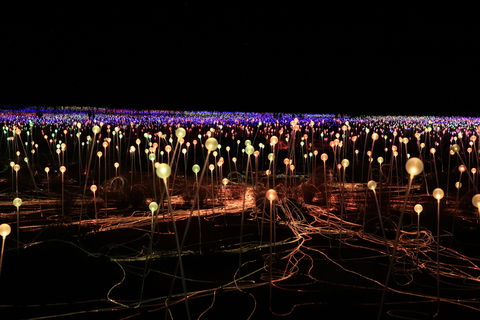 Field Of Light Uluru - Accommodation Noosa 1