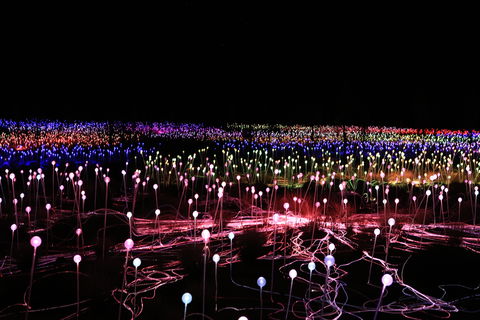 Field Of Light Uluru - Accommodation Noosa 2