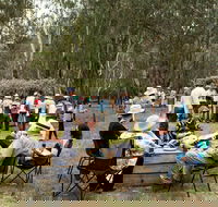 Grazing Down the Lachlan - Accommodation Noosa