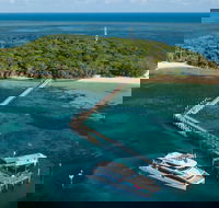 Great Adventures Green Island Ocean Swim - Accommodation Noosa