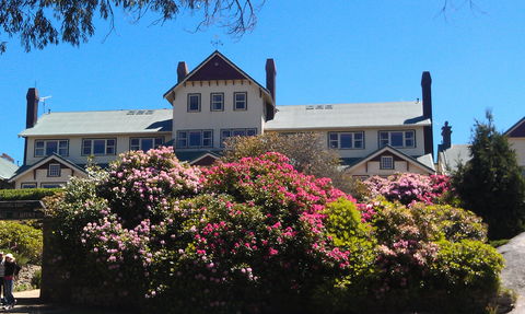 Hedonistic Hiking's Mount Buffalo Hike And Picnic - Accommodation Noosa 1