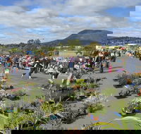 Hobart Showground Sunday Market - Weekly - Accommodation Noosa