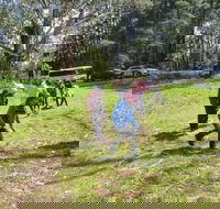 July 2020 Holidays- Forest Adventures Treasure Hunt - Accommodation Noosa
