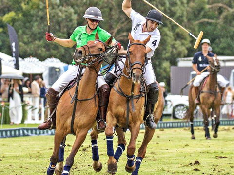 Land Rover Polo In The City - Accommodation Noosa 0