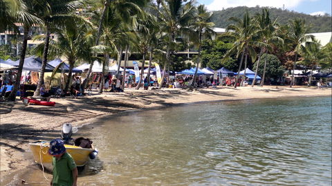 Lions Airlie Beach Community Markets - Accommodation Noosa 0
