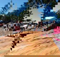 Maleny Wood Expo From Seed to Fine Furniture - Accommodation Noosa