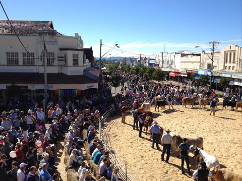 NCMC Casino Beef Week - Accommodation Noosa 0