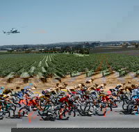 Santos Tour Down Under - Accommodation Noosa