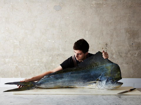 National Photographic Portrait Prize - Accommodation Noosa 0