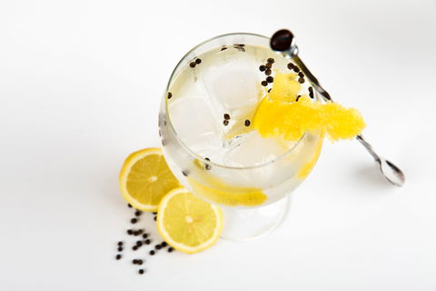 Online Live Streaming Class: Make Four Gin Cocktails - Accommodation Noosa 0