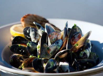 Fratelli Del Mare - Accommodation Noosa 4