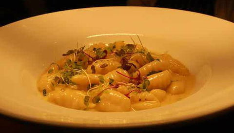 Aquacotta Italian Restaurant - Accommodation Noosa 1