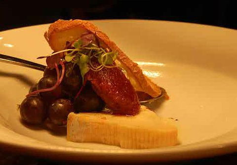 Aquacotta Italian Restaurant - Accommodation Noosa 3
