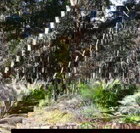 The Bower at Broulee