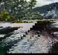 Colonial Palms Motor Inn - Accommodation Noosa