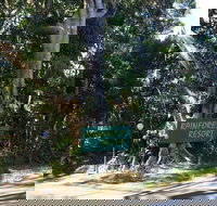 Byron Bay Rainforest Resort - Accommodation Noosa