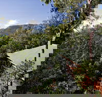 Thala Beach Nature Reserve - Accommodation Noosa