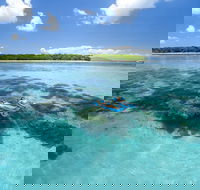 Green Island Resort - Accommodation Noosa