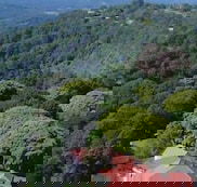 Mayfield on Montville - Accommodation Noosa
