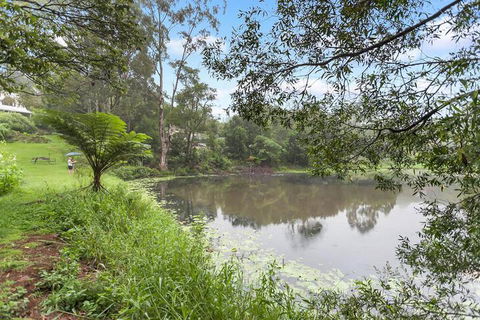 Maleny Wildlife Holiday House - Accommodation Noosa 4