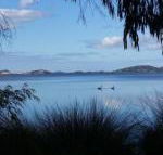 Lilacs Waterfront Villas  Cottages - Accommodation Noosa