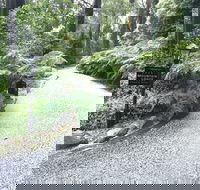 Mountain Lodge - Accommodation Noosa