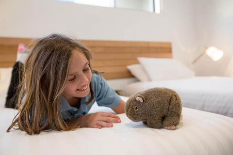 Island Quarters - Accommodation Noosa 3