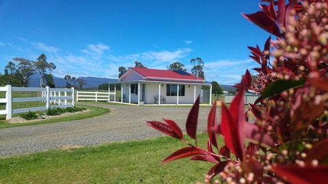 Little Sunnyside Accommodation - Accommodation Noosa 1