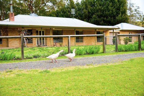 Farm Club Australia - Accommodation Noosa 1